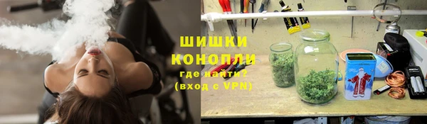 ешки Арсеньев