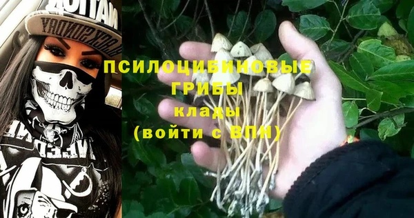 ешки Арсеньев