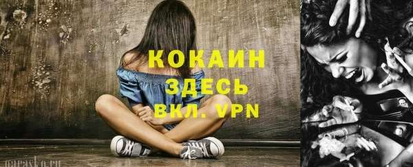 ешки Арсеньев