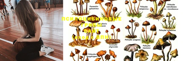 метадон Тайга