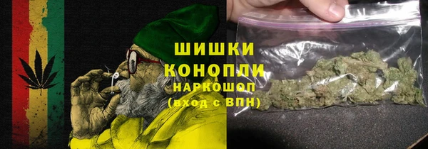 ешки Арсеньев
