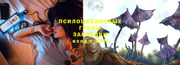 ешки Арсеньев