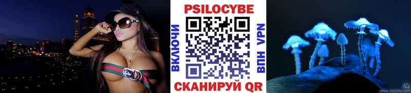 Купить где Боготол Галлюциногенные грибы Psilocybe